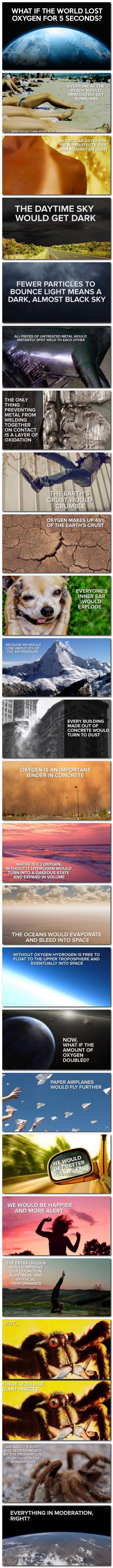 Si le monde n'avait plus d'oxygène pendant 5 secondes...