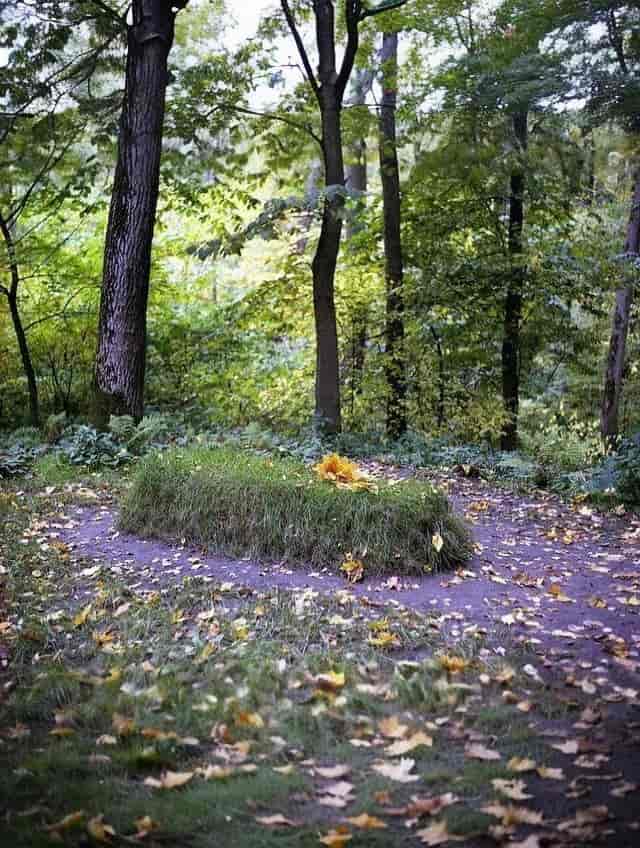 Il y a 195 ans naissait Léon Tolstoï.L'humble tombeau de l'écrivain est situé à l'orée d'une forêt, isolée, sans croix ni pierre tombale. Ce n'est qu'un tas de terre à l'ombre de deux arbres plantées par Tolstoï lui-même.