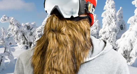 Masque de ski barbe