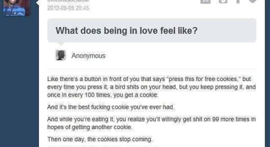 Qu'est-ce que l'on ressent quand on tombe amoureux ? 