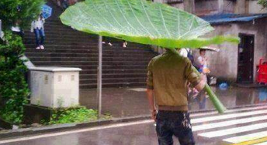 Umbrella level ...