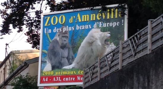 Allez au zoo, c'est cool.