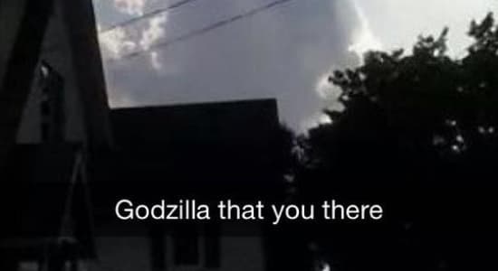 Godzilla ?