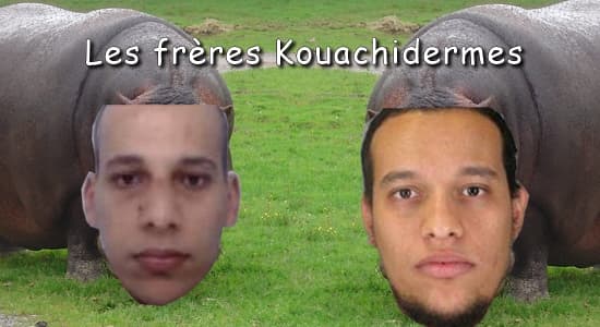 Les frères Kouachidermes !