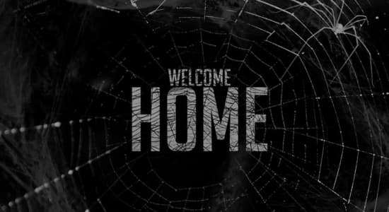 Welcome home Spidey ! 