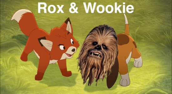 Rox et Wookie