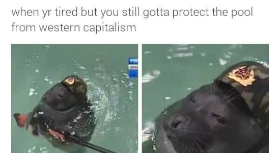 Soviet Seal