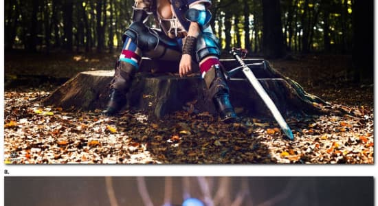 Cosplayers The Witcher