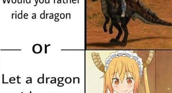 Ride a dragon 