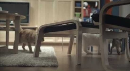 Ikea - Cats experiment
