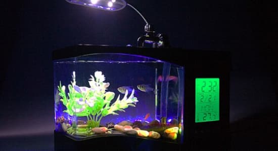 aquarium usb