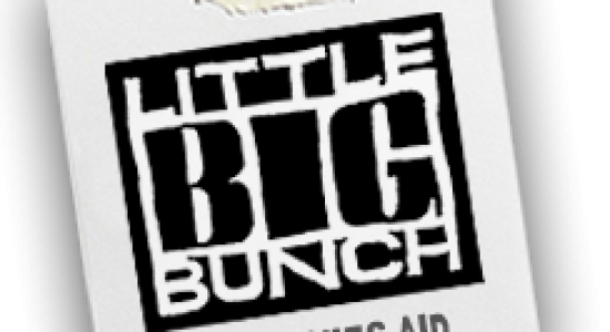 Little Big Bunch | Indie-Bundle