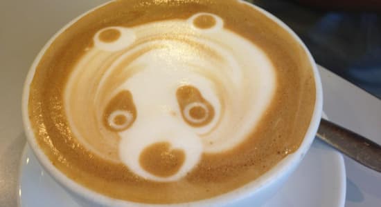 Un panda dans mon café