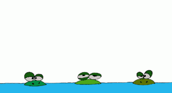 3 Frogs