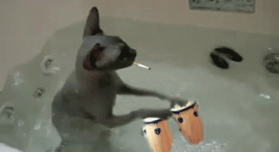 Just chillin\' in my bath [chat, baignoire]