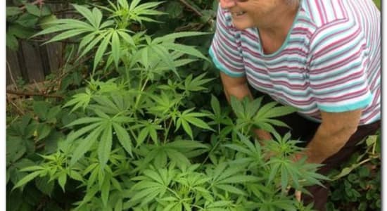 Mamie aime les jolies plantes ! (cannabis)