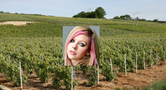 Avril La vigne
