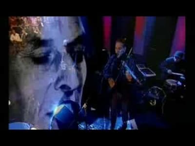 [Rock] John Cale - Venus In Furs (Live)