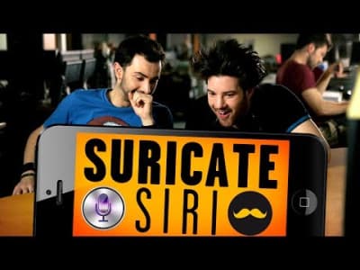 Suricate - Siri