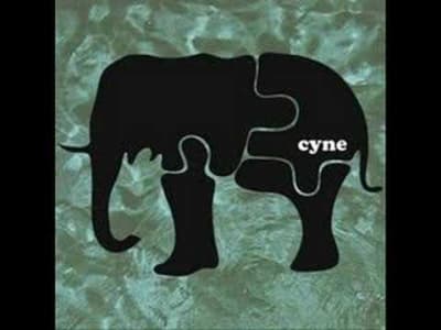 Cyne - Maintain