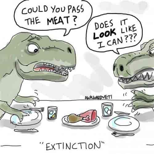 La raison de la disparition des dinosaures