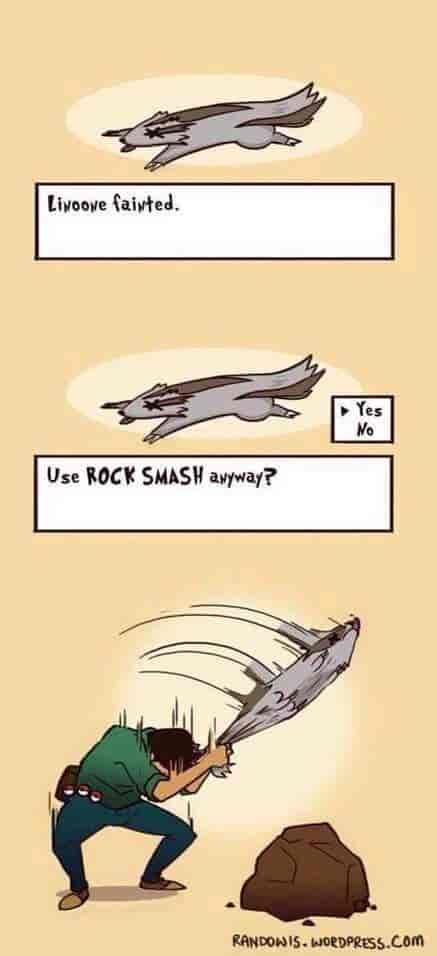 Use Rock Smash anyway?