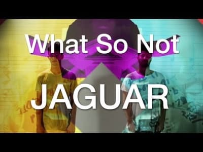 [Electronic] Jaguar - What So Not