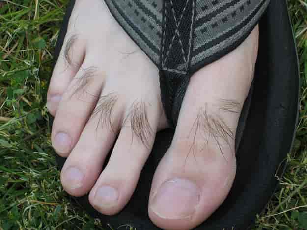 Le pied et ses poils sur l'herbe