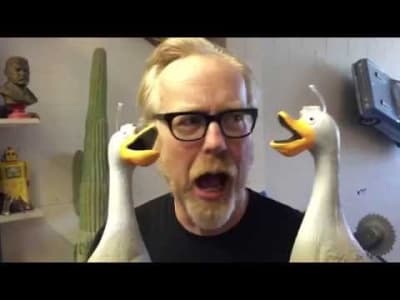 Mythbusters's Duck Army