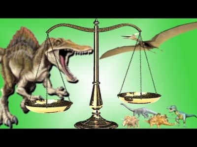 Découverte d'un os de dinosaure: le droit vulgarisé