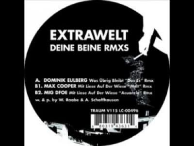 Extrawelt - Was übrig bleibt (Dominik Eulberg und Das Es Remix)