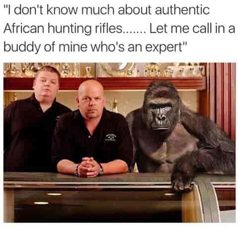 I'm Harambe and This Is My Pawn Shop