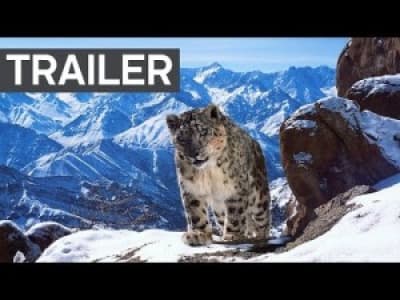 Planet Earth II: Official Extended Trailer - BBC Earth