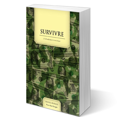 Survivre à l'effondrement économique (livre)