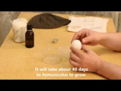 TUTO : Comment créer un homunculus 