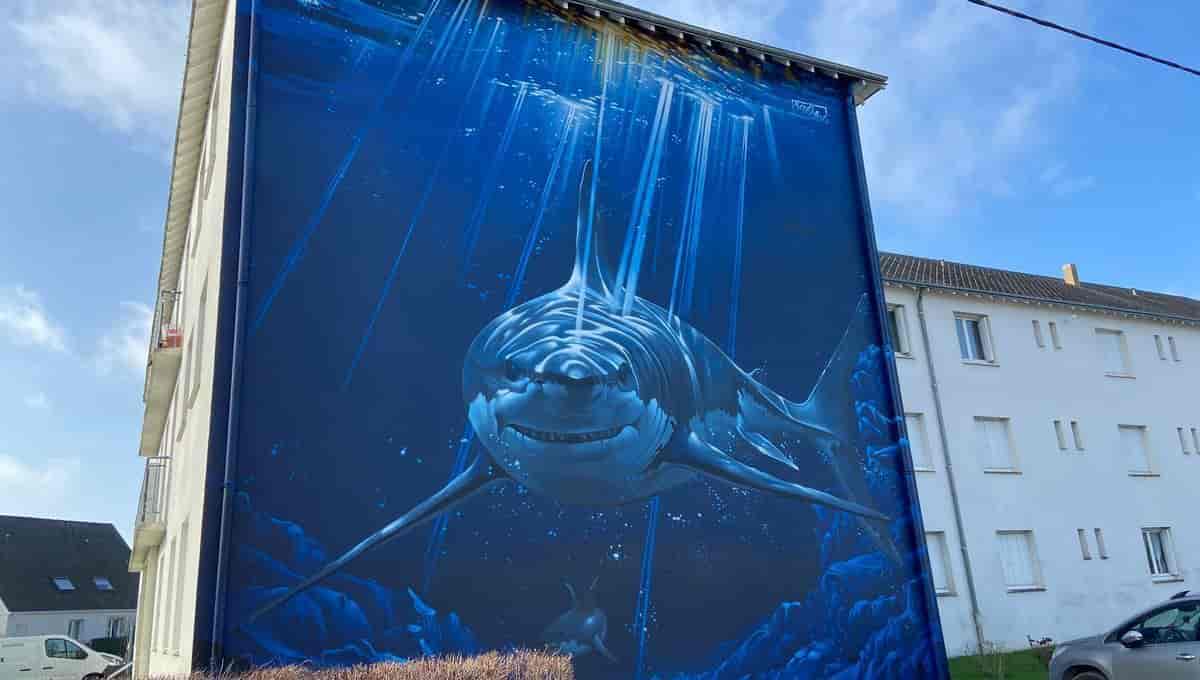 Le mégalodon de Savigné-sur-Lathan, élu plus belle œuvre de street art de France