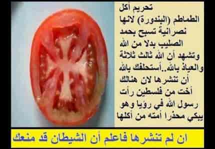 la tomate enemie des musulmans