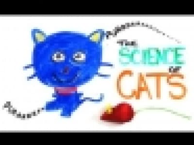The science of cats 