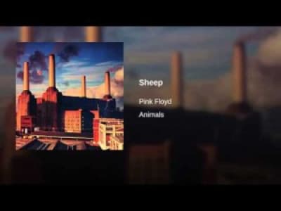 Pink Floyd - Sheep