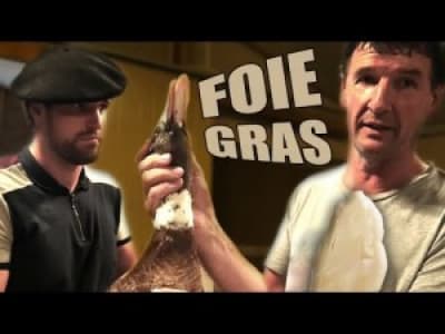 Foie gras - Stop aux mensonges