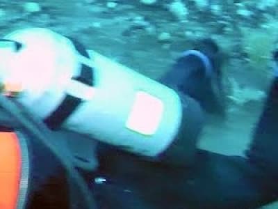 Les sons incroyables émis par les phoques de Weddell (à partir de 0:30 sur la vidéo)
