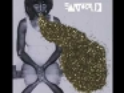 Santigold - Shove It 