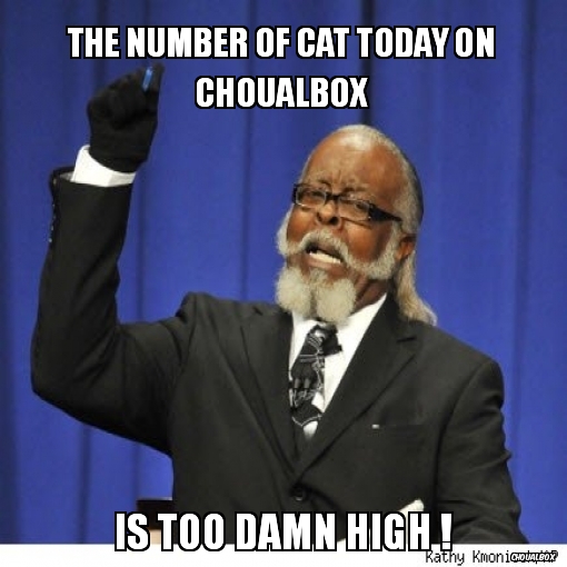 The number of cat today on Choualbox