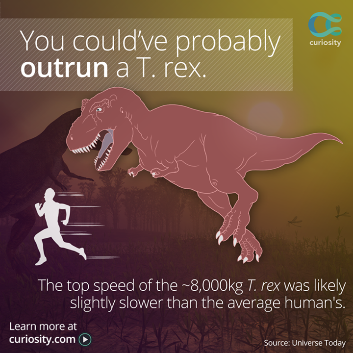 Vous pouvez courir plus vite qu'un T-Rex