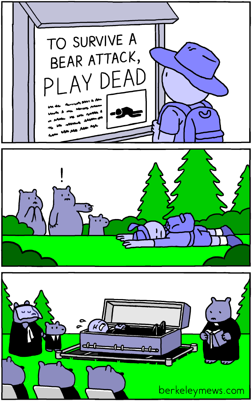 Survivre à un ours