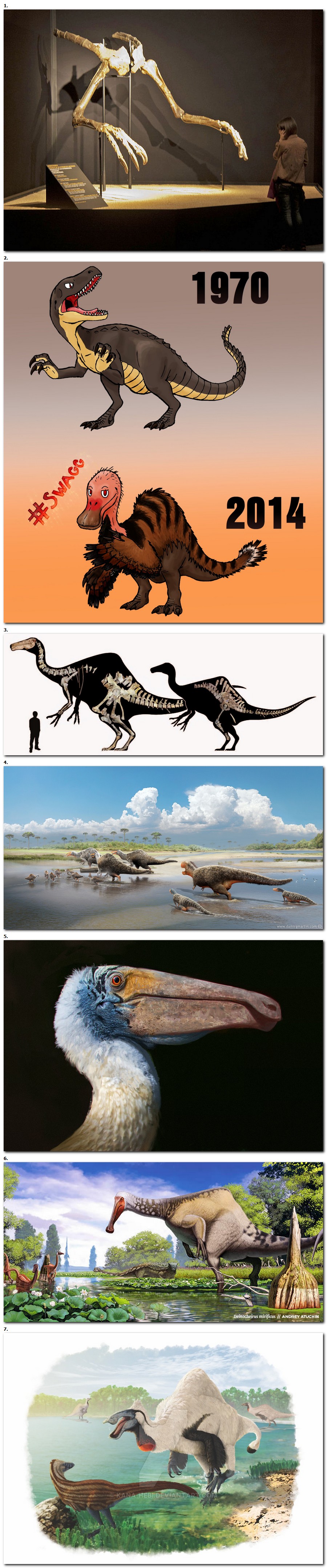 Dinosaure du dimanche: Deinocheirus mirificus