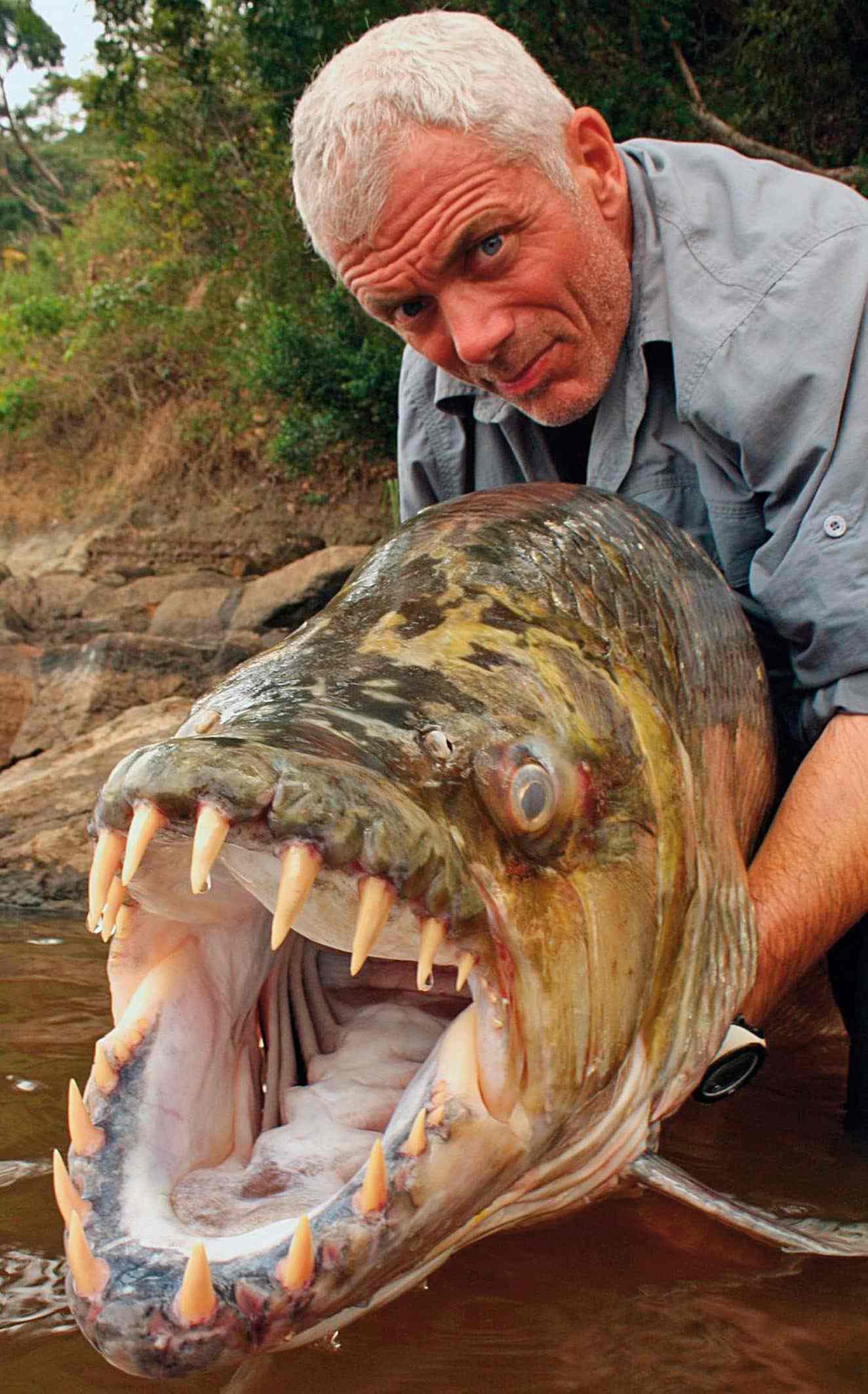 Jeremy Wade avec un poisson-tigre Goliath du fleuve Congo