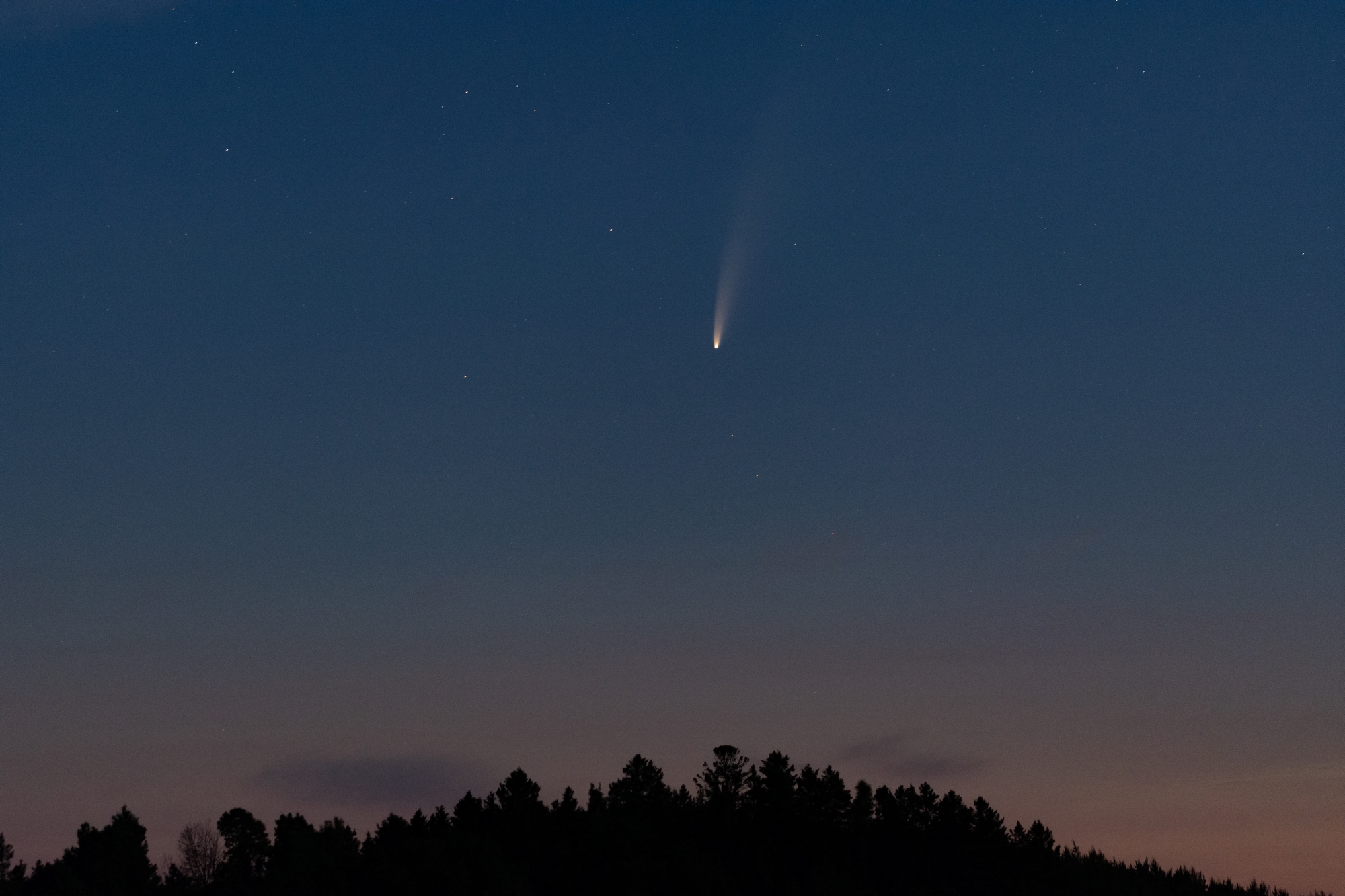 Avez-vous vu la belle comète C/2020 F3 Neowise ?
