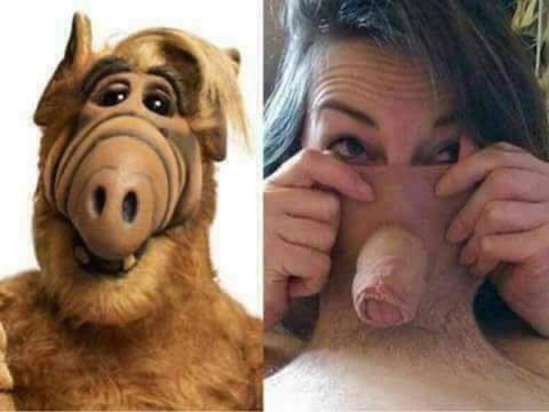 Lowcost cosplay - Alf