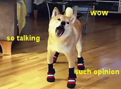 Barking doge with socks